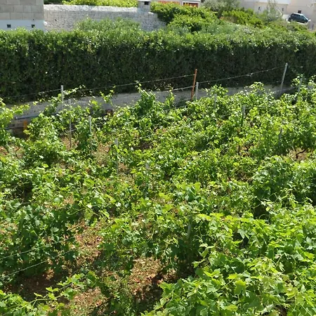 빌라 Sofia 포블랴