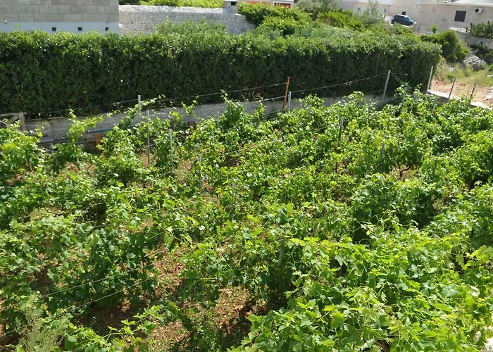 빌라 Sofia 포블랴